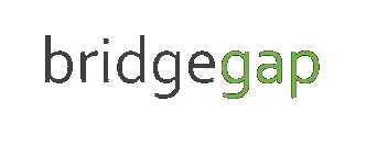 BridgeGap Consulting